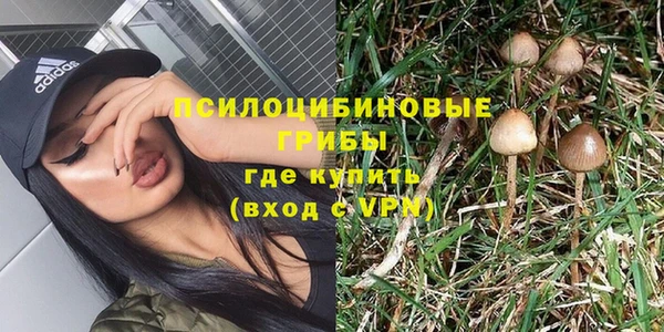 сатива Верхний Тагил