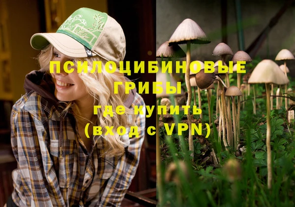 a pvp Верея
