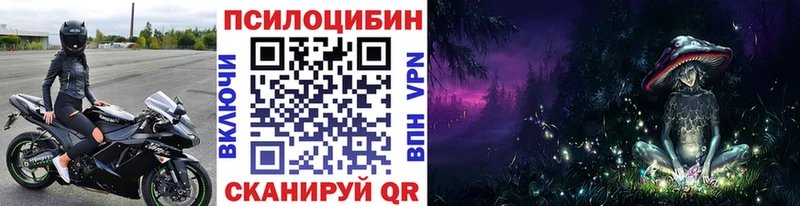 Псилоцибиновые грибы GOLDEN TEACHER где купить наркоту Ильский